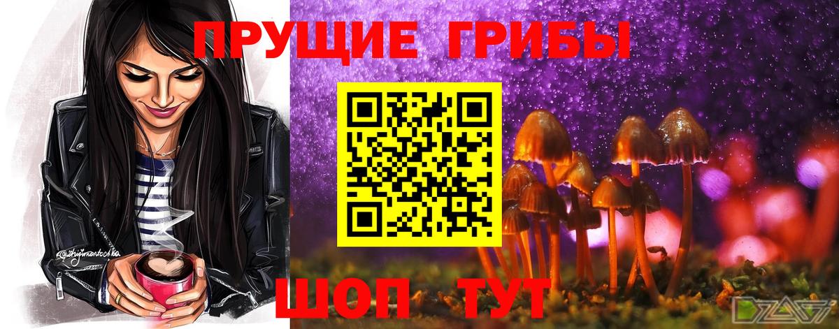 Псилоцибиновые грибы мицелий  сколько стоит  Россошь  Вход с VPN 